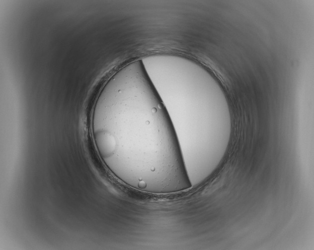X0000112760634200908201034