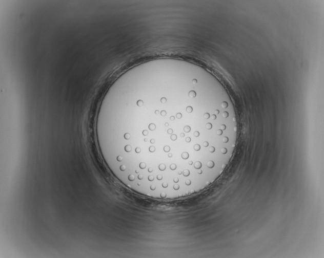 X0000112760635200908201034