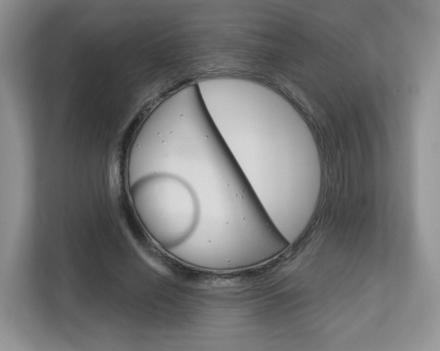 X0000112760638200908201034