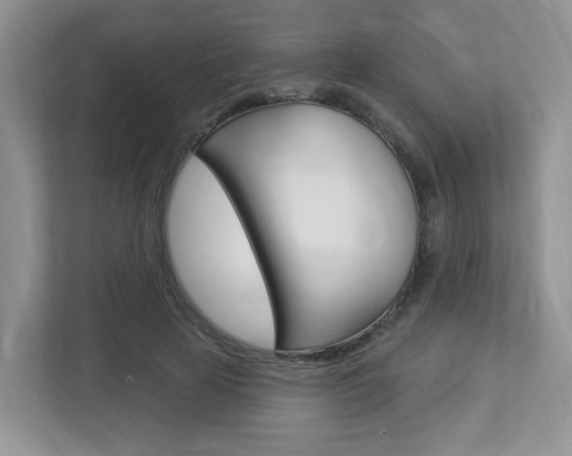 X0000112760641200908201034