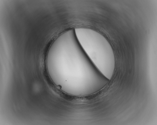 X0000112760642200908201034
