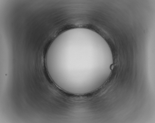 X0000112760646200908201034