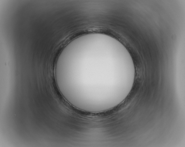 X0000112760648200908201034
