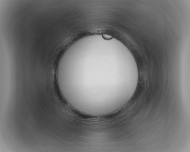 X0000112760652200908201034