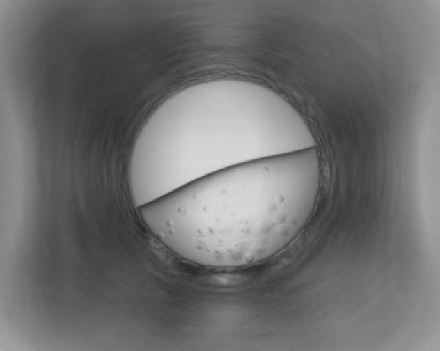 X0000112760657200908201034