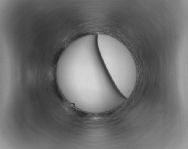 X0000112760658200908201034