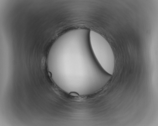 X0000112760660200908201034