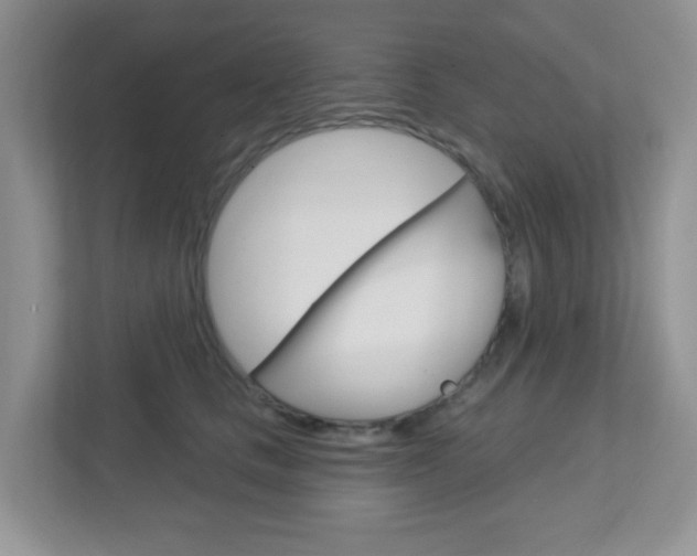 X0000112760661200908201034