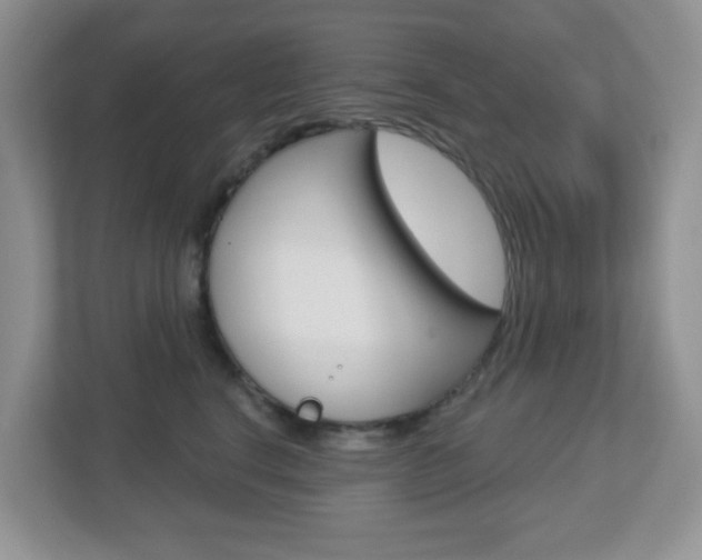 X0000112760664200908201034