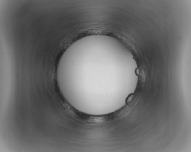 X0000112760665200908201034
