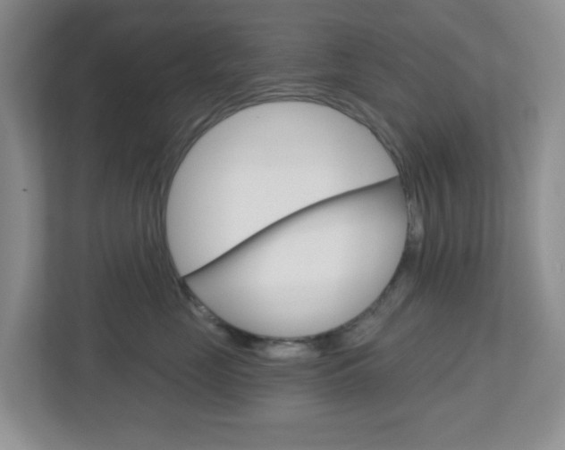 X0000112760669200908201034
