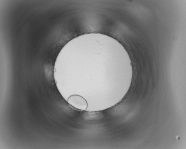X0000112760672200908201035