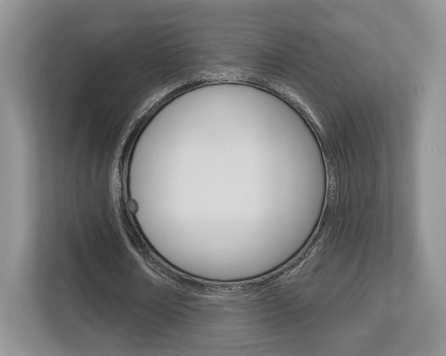 X0000112760674200908201034