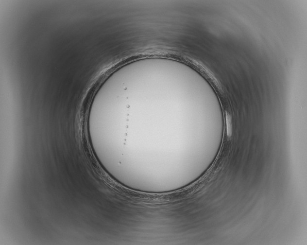 X0000112760675200908201034