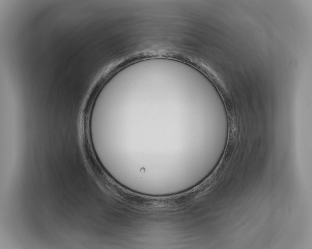 X0000112760678200908201034
