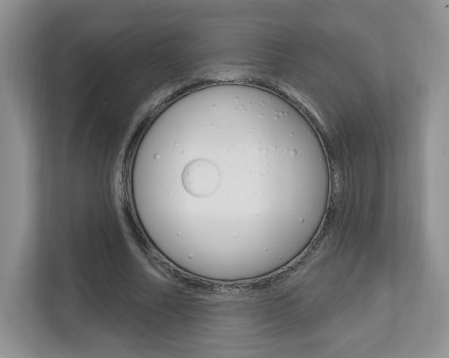 X0000112760682200908201034