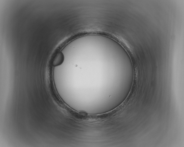 X0000112760684200908201034