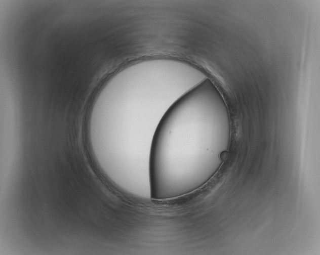 X0000112760685200908201034