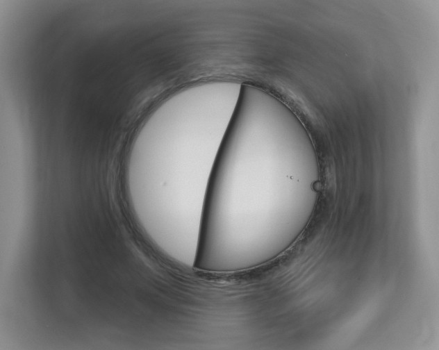 X0000112760687200908201034