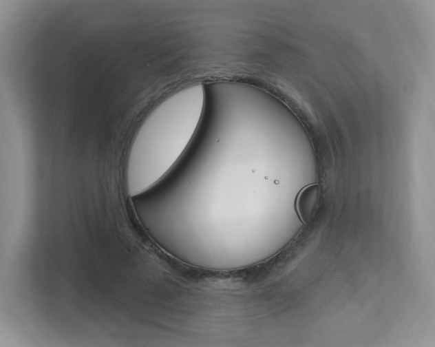 X0000112760689200908201034