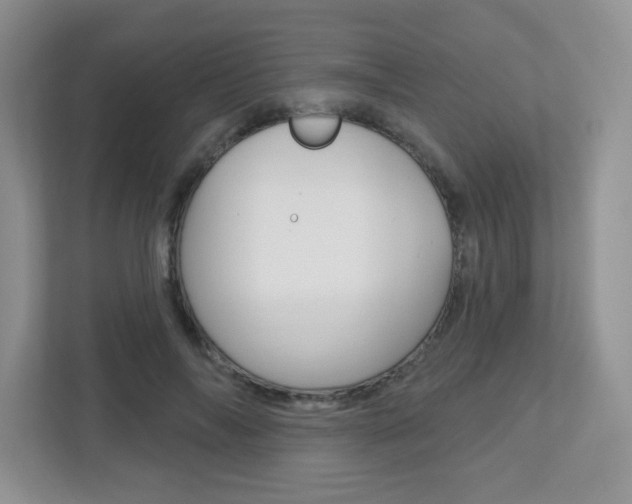 X0000112760694200908201034
