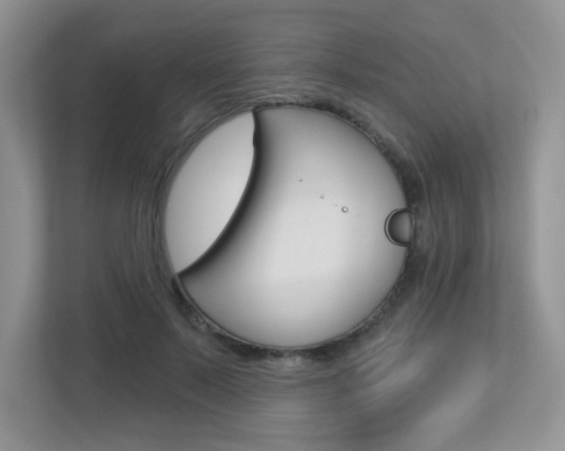 X0000112760695200908201034