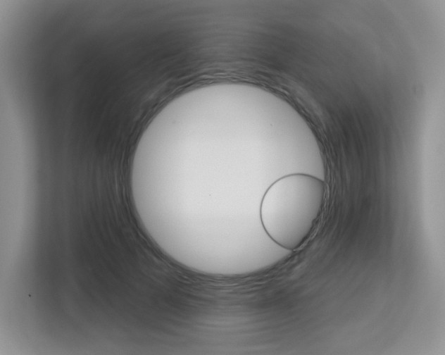 X0000112760697200908201034