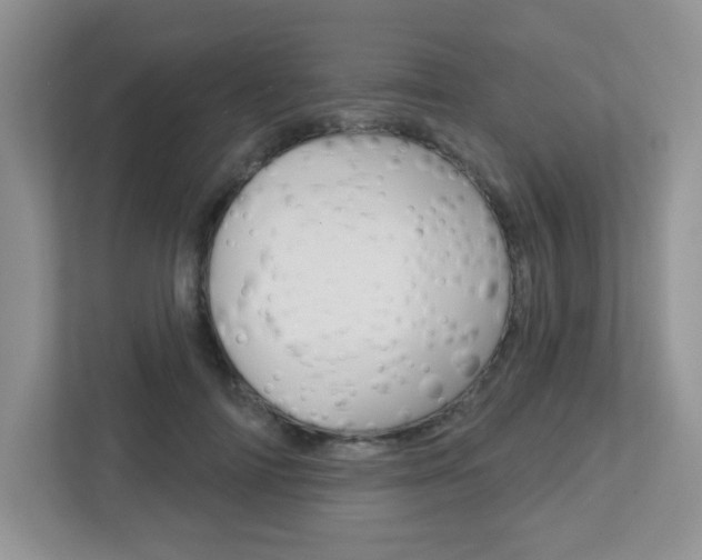 X0000112760698200908201034