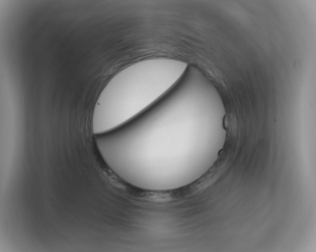 X0000112760719200908201033