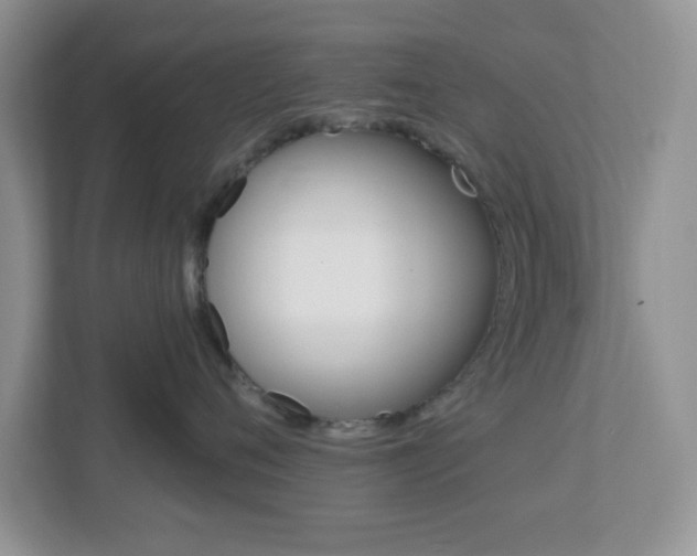 X0000112760720200908201033