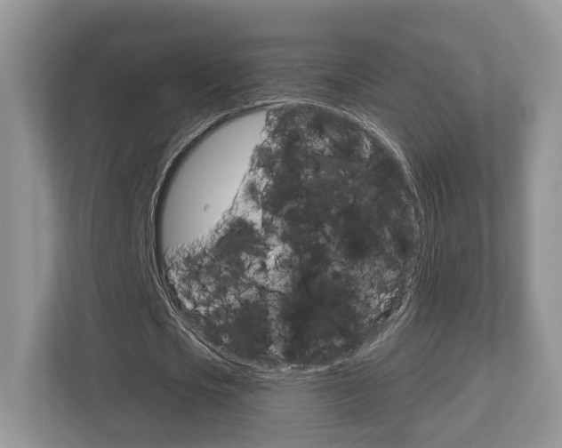 X0000112760721200908201033