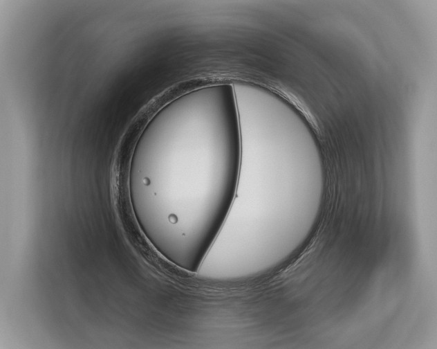 X0000112760722200908201033