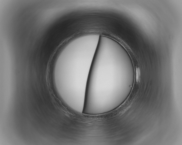 X0000112760723200908201033