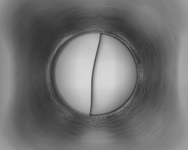 X0000112760727200908201033