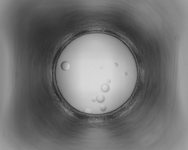 X0000112760729200908201033