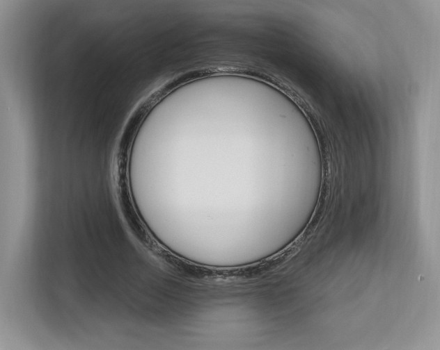 X0000112760730200908201033