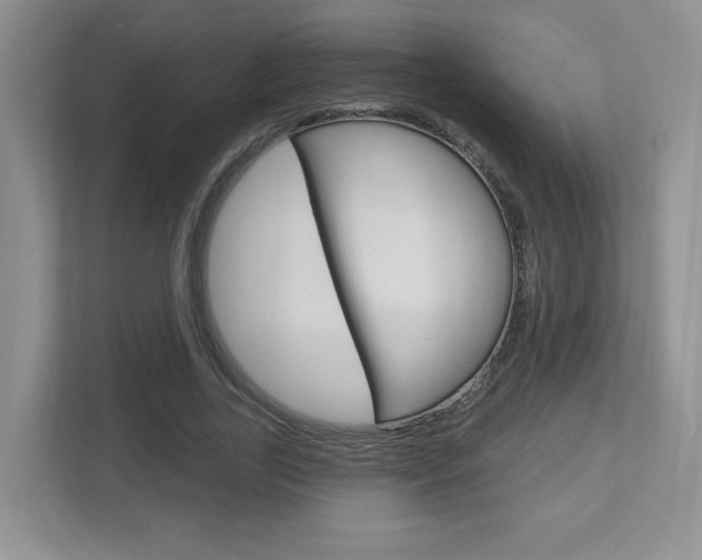 X0000112760731200908201033