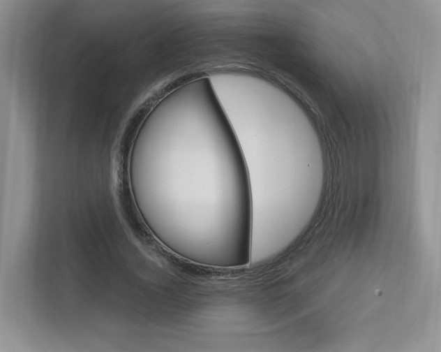 X0000112760732200908201033