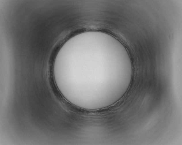 X0000112760738200908201033