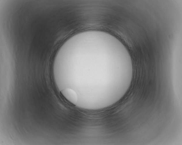 X0000112760740200908201033