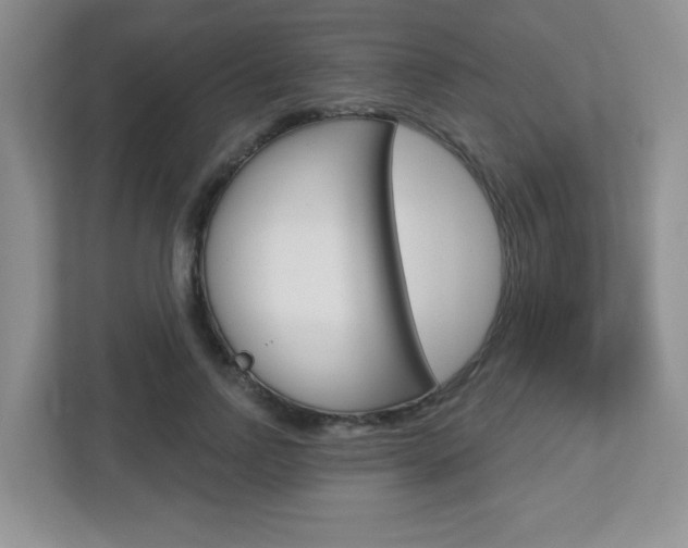 X0000112760742200908201033