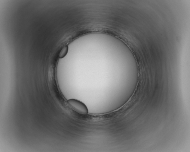 X0000112760744200908201033