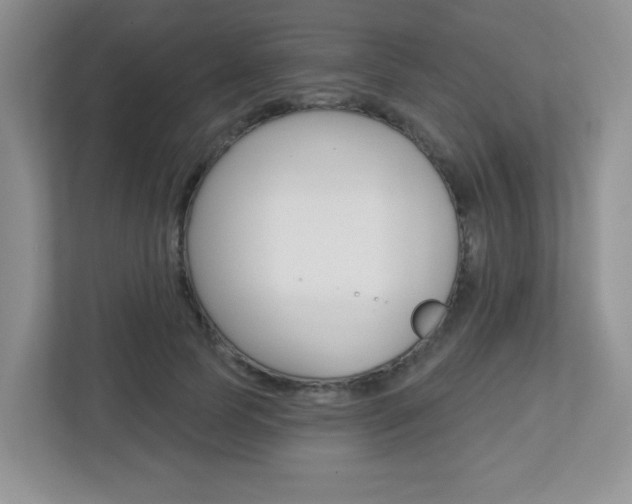 X0000112760745200908201033