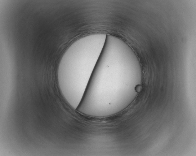 X0000112760747200908201033