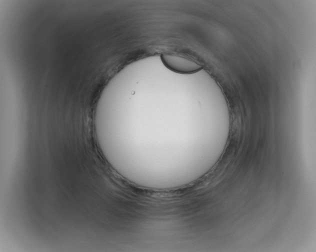 X0000112760749200908201033