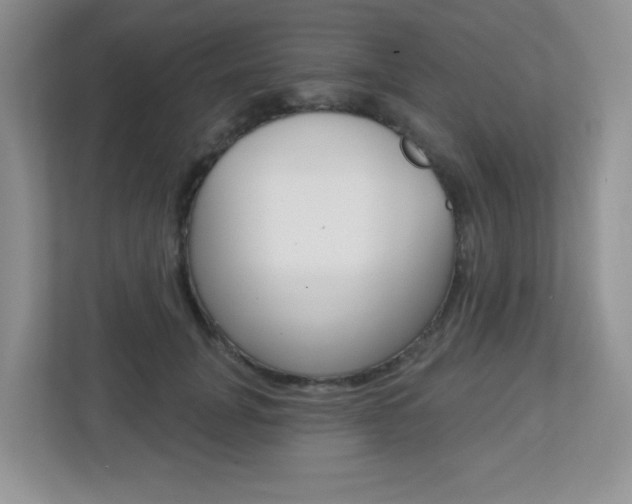 X0000112760751200908201033