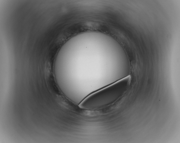 X0000112760752200908201033
