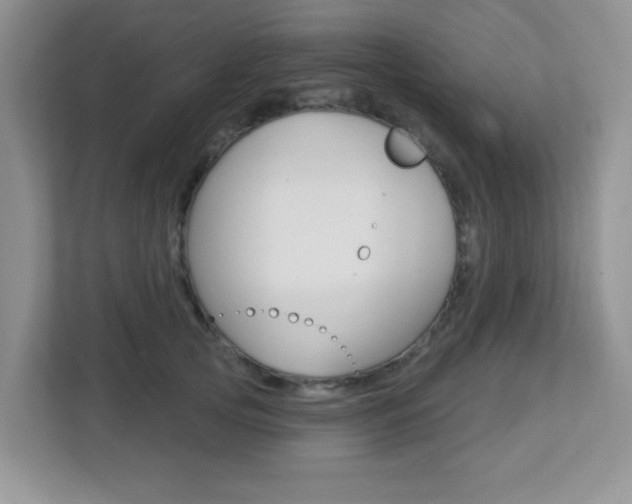 X0000112760753200908201033