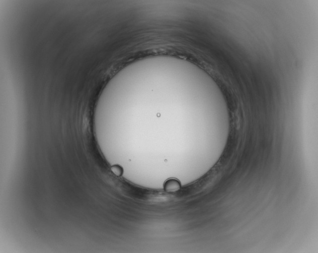 X0000112760754200908201033