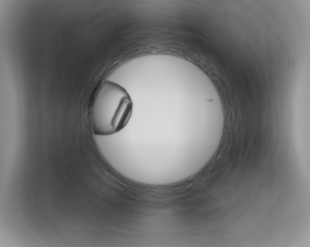 X0000112760756200908201033